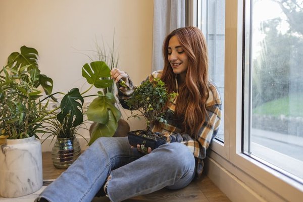 Comment l'art du bonsaï japonais reflète-t-il les principes de patience et de précision ?