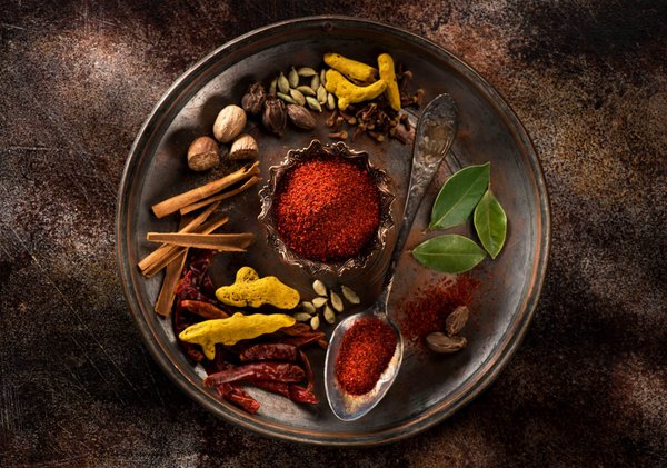 Quels sont les meilleurs livres de science-fiction à lire en groupe ?